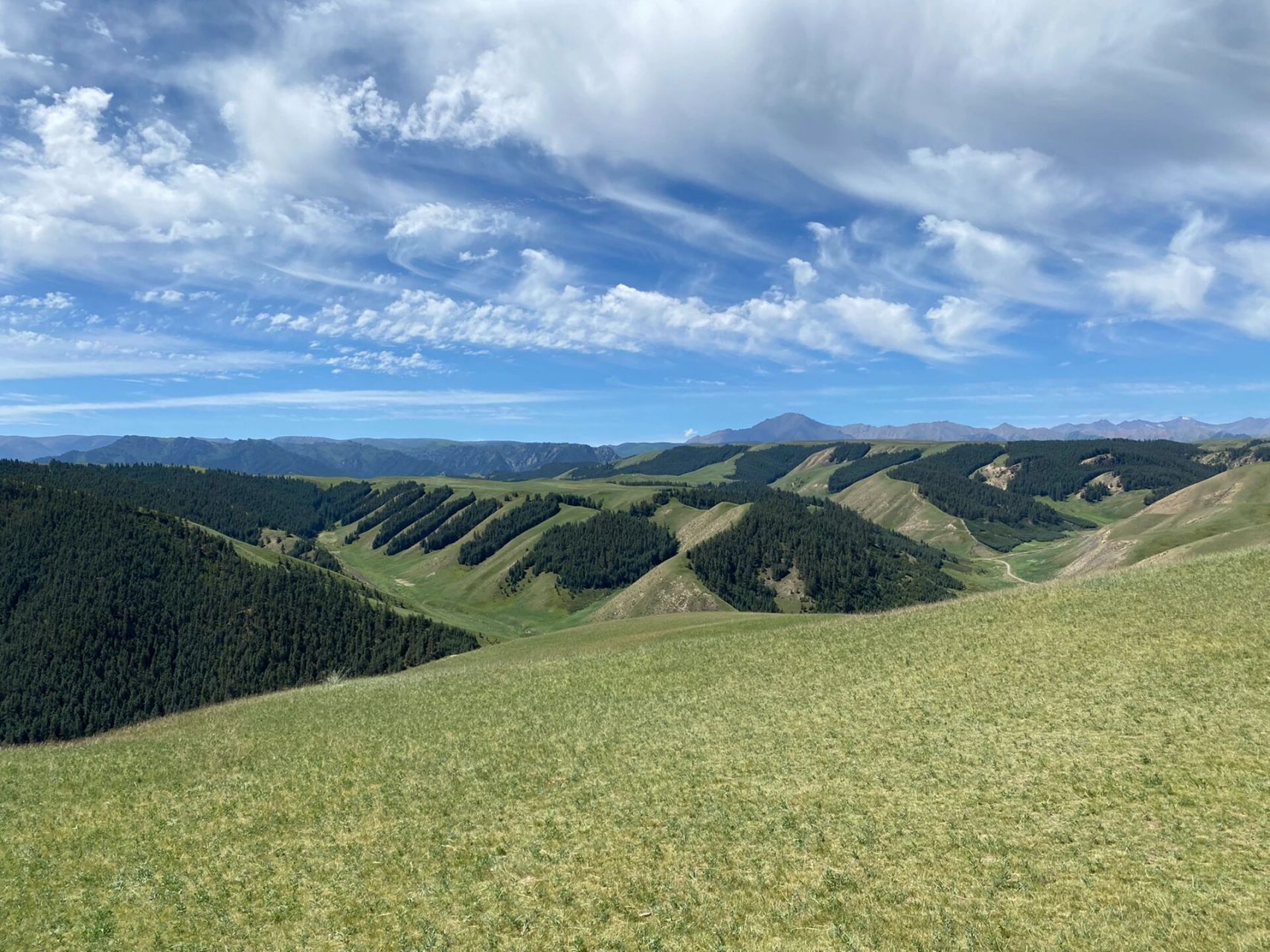 张掖康乐大草原 感受过七彩丹霞的五彩斑斓驱07十多分钟遇见壮阔