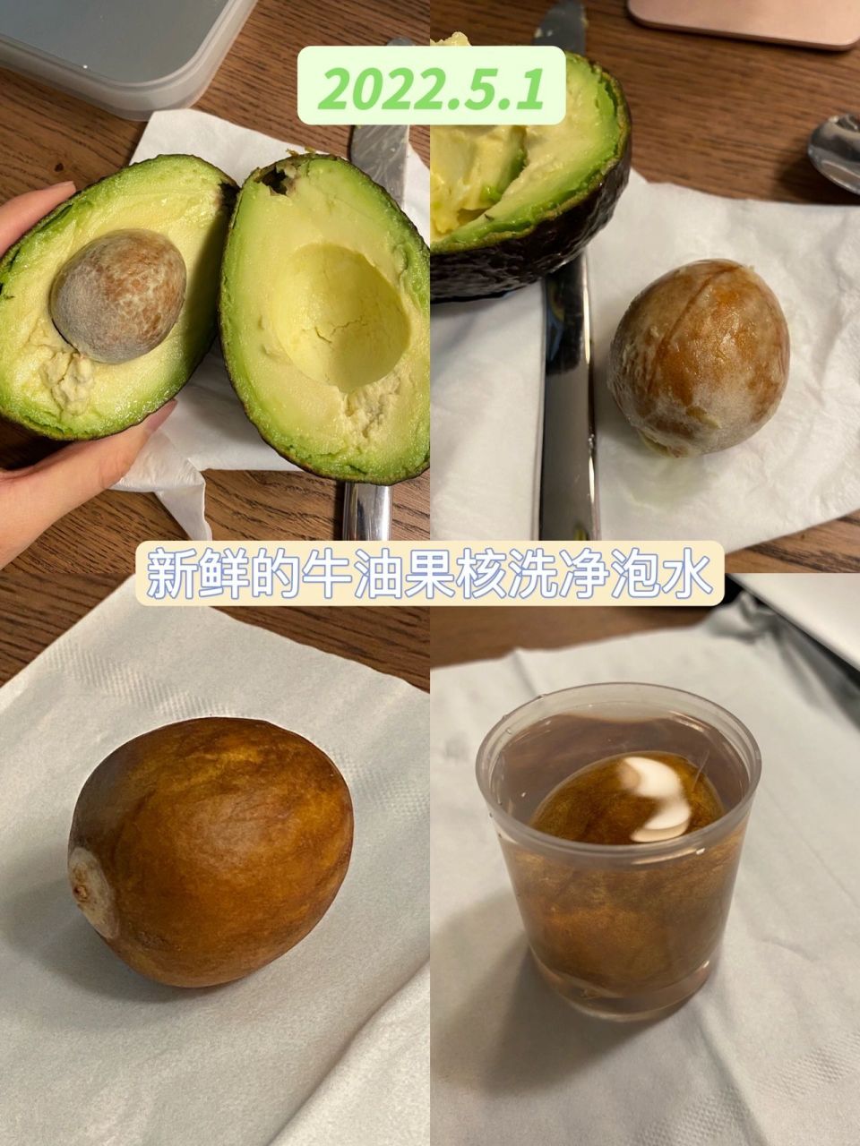 附超详细种植教程17 97种植感: 众所周知牛油果应当属新手友好的