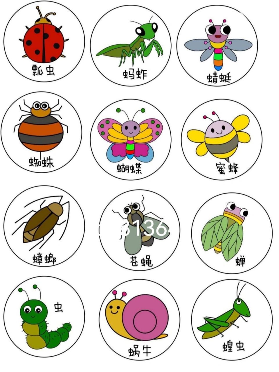 大班科学区《益虫和害虫分类》