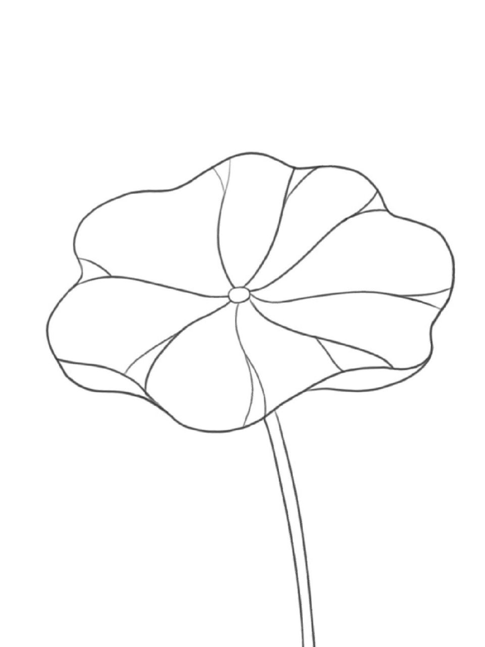 国风插画练习之荷叶篇01绘画步骤 绘画过程 1.起形 2.勾线 3.