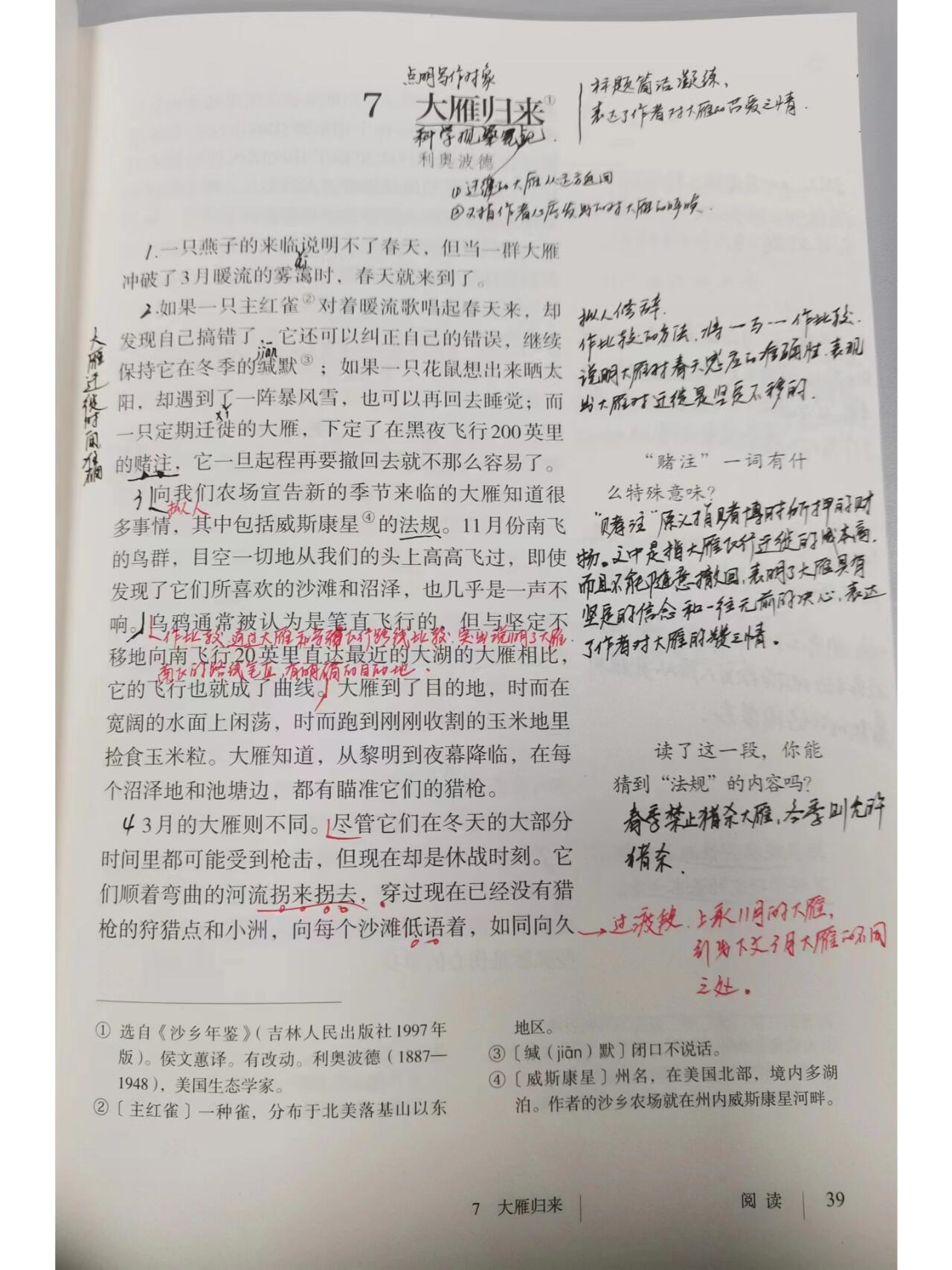 八年级下册语文笔记 7 大雁归来