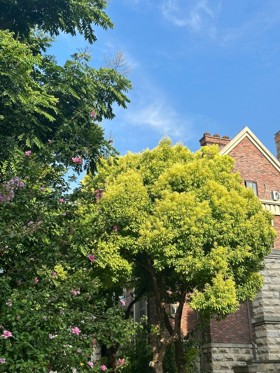 兰郡300﹐别墅93量房实拍 量房信息|合肥·海亮兰郡花园-利兹庄园