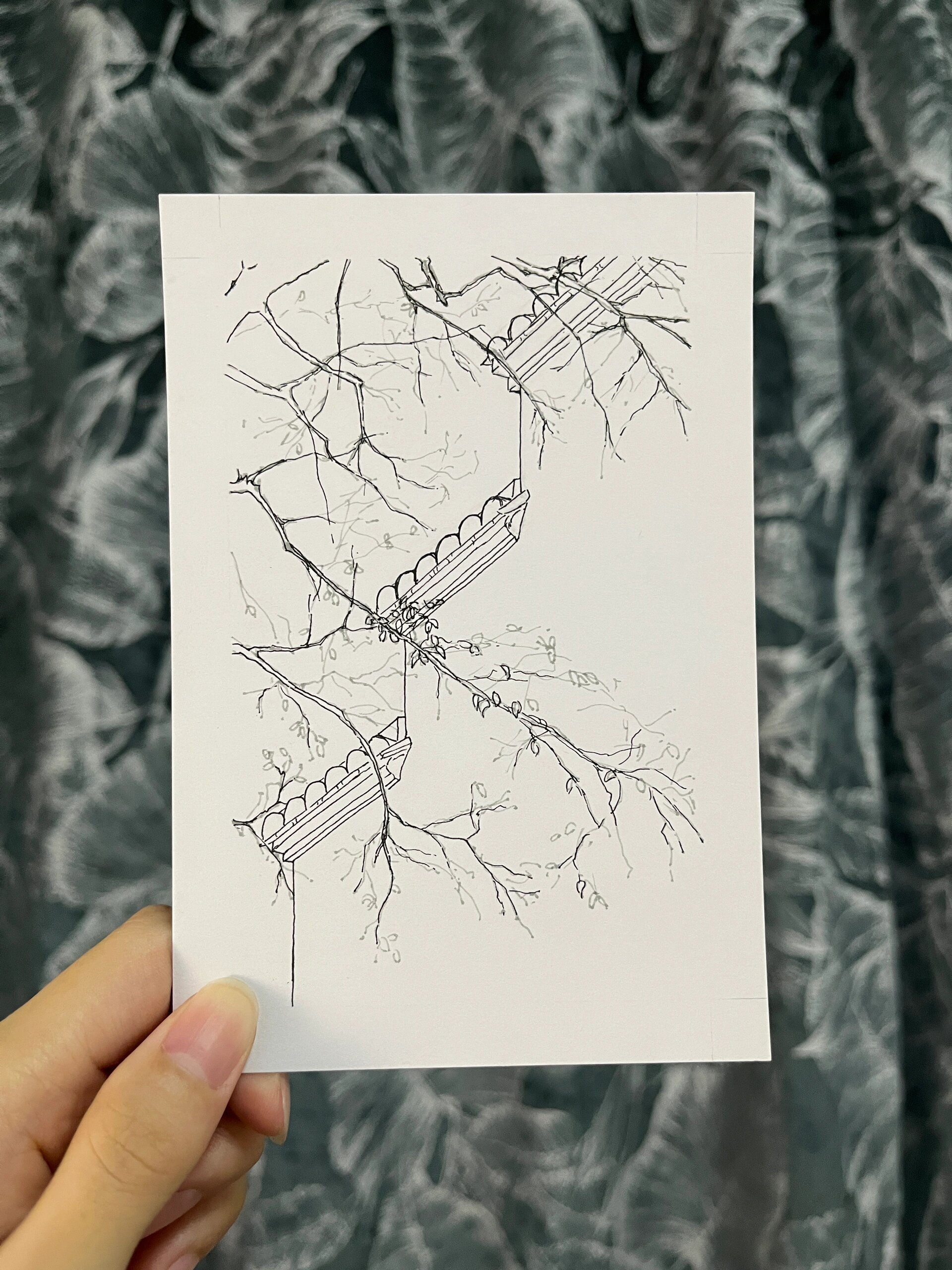 马克笔|徽派建筑·墙 线稿用了黑色和灰色的勾线笔