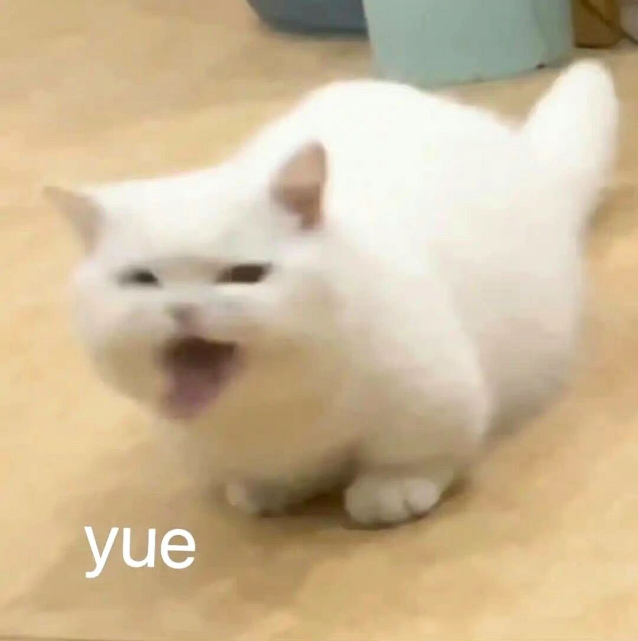 好吃(yue!) #我最爱的表情包