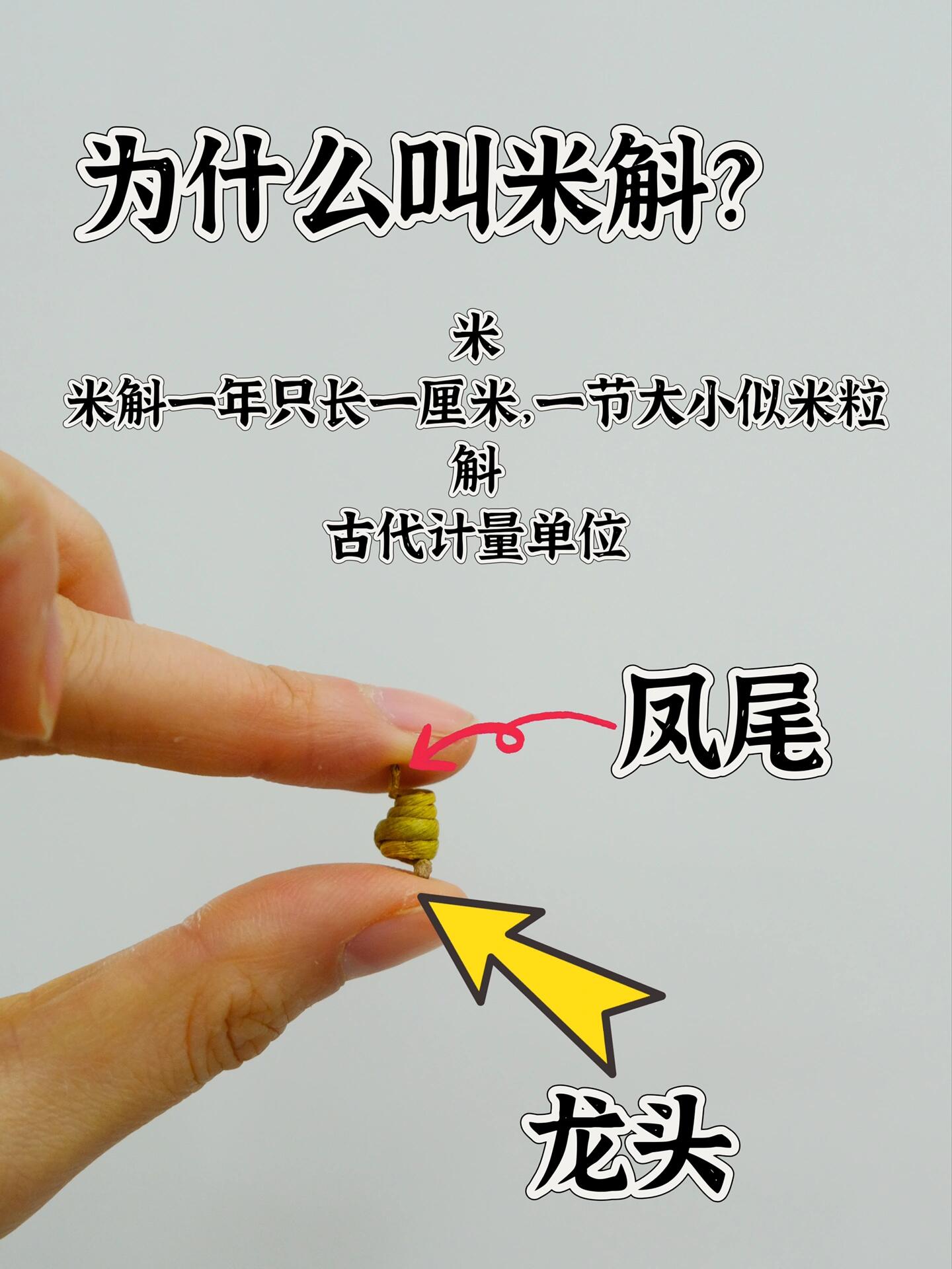 买霍山米斛(龙头凤尾)别直接问一斤多少钱