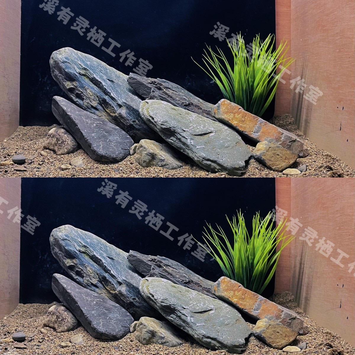 40-50原生溪流缸造景素材沙盘作品