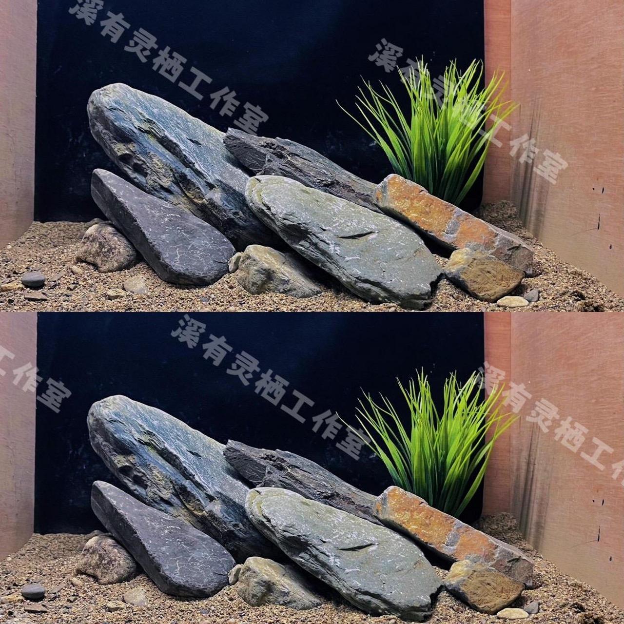 40-50原生溪流缸造景素材沙盘作品.