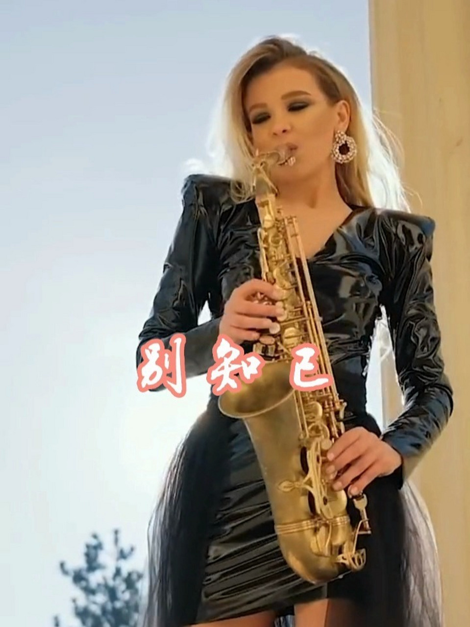 萨克斯曲《别知己》