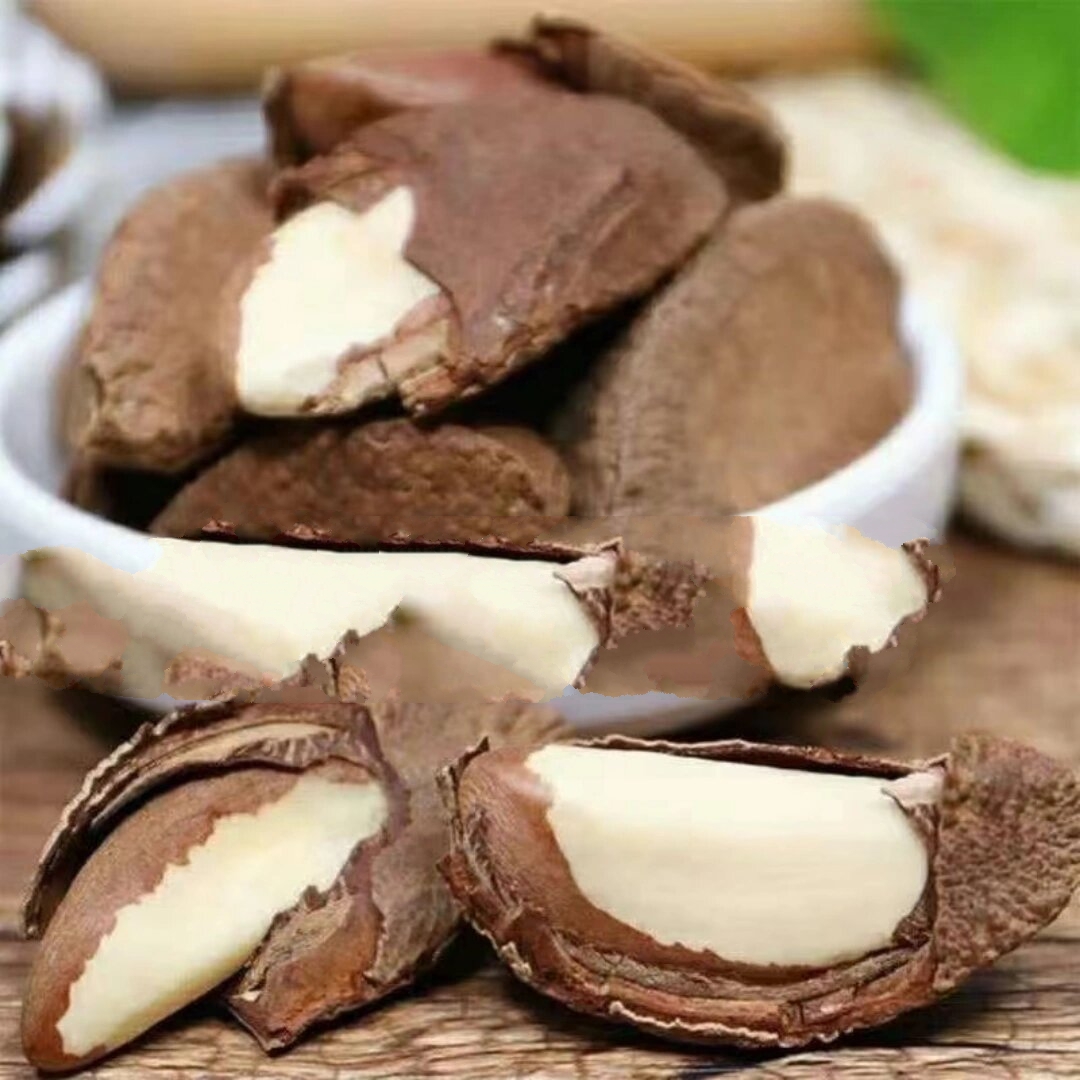 鲍鱼果(也称沙漠果:)"鲍鱼果"是一种干 鲍鱼果(也称沙漠果:) "鲍鱼果"