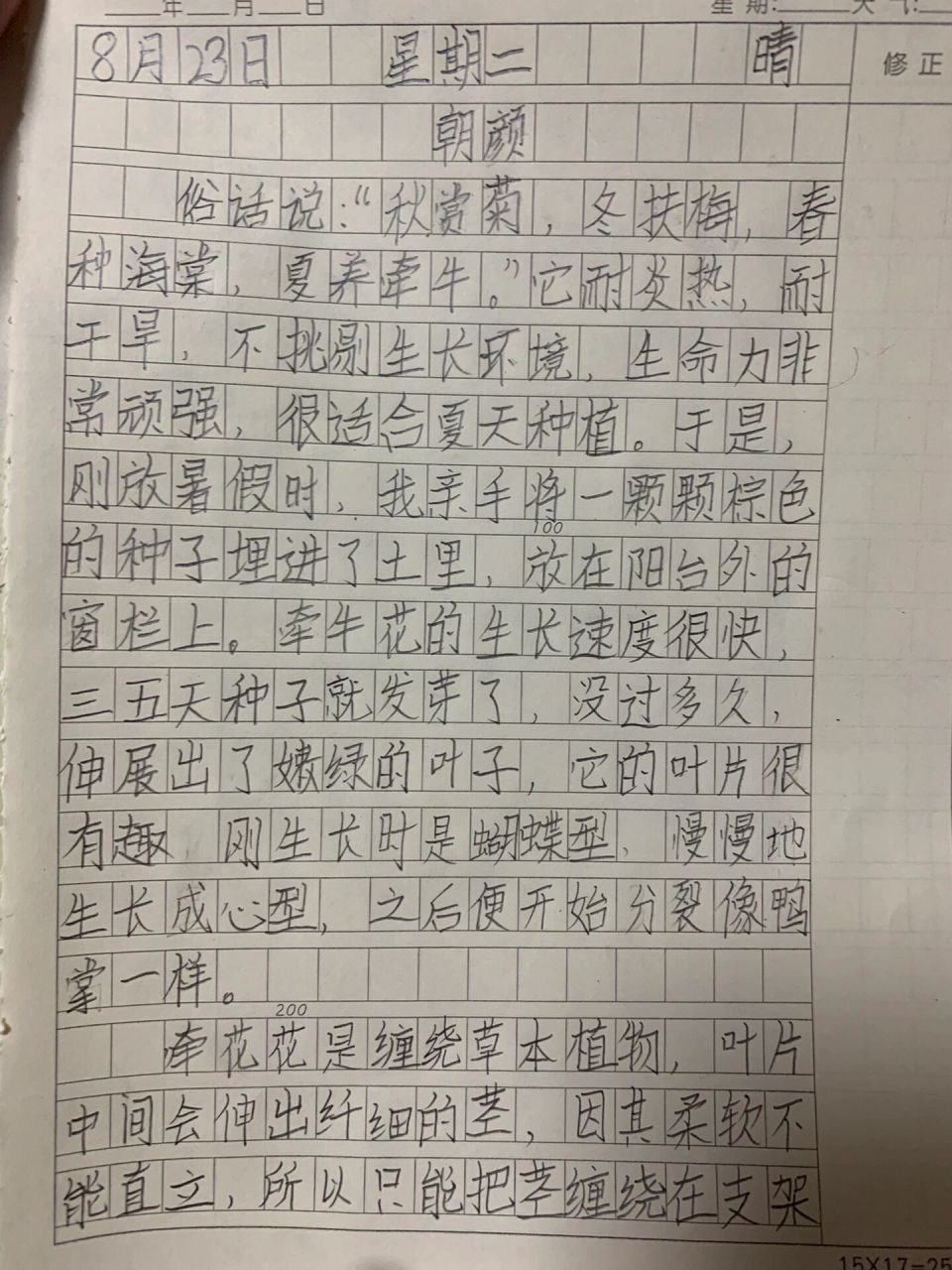 之前猿辅导寄来的种子 刚放假的时候种上了 今天成功开了第一朵花