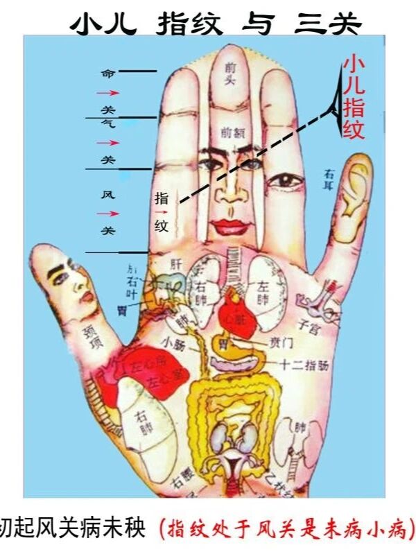 宝妈宝爸一定要学会观察宝宝指纹 对小儿指纹的观察,应注意其纹位,纹