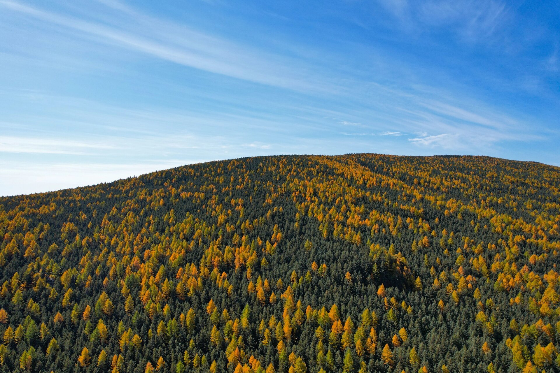五寨荷叶坪 荷叶坪只能自驾去 从宁武导航到荷叶坪一路会经过芦芽山