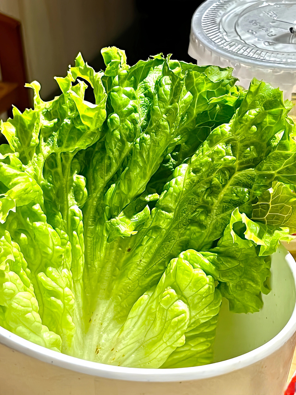 于是一张有生命力的生菜就诞生了,是一次特别特别特别开心的聚餐,见了