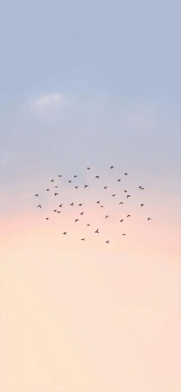 心情不好时,抬头仰望天空吧#情侣头像# #壁纸