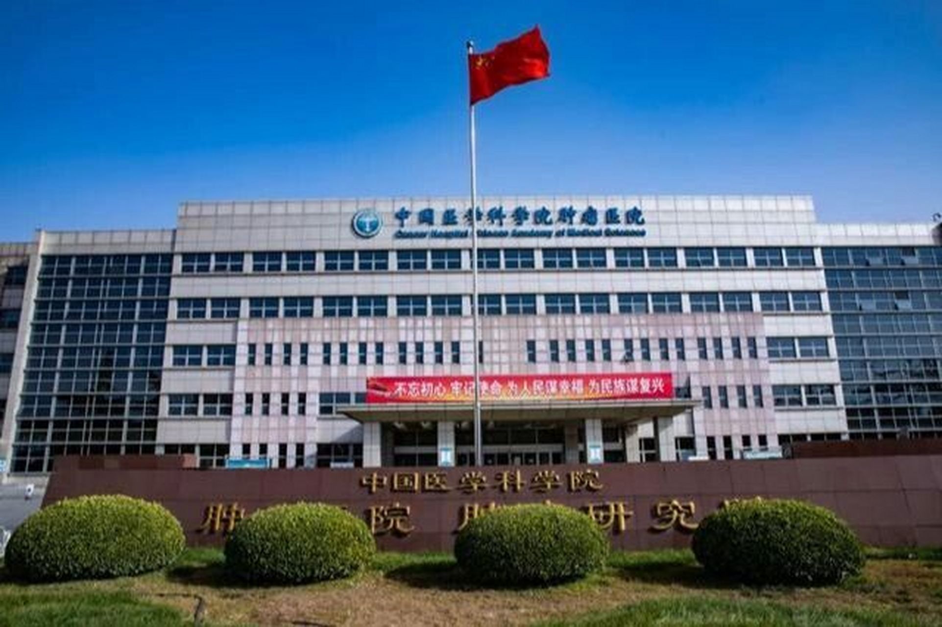 包含中国医学科学院肿瘤医院黄牛第一安排挂号挂号黄牛的词条