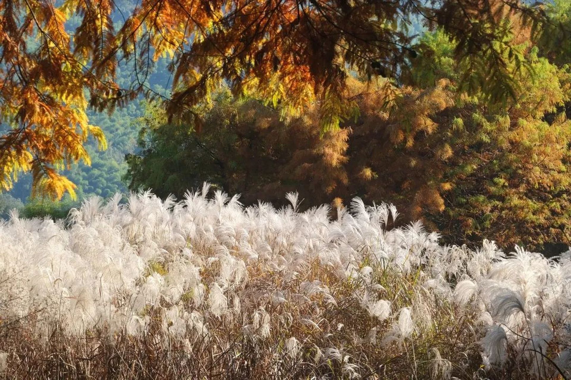 冷空气紧跟着要来】#宁波天气#迎冬小雪至,应节晚虹藏.