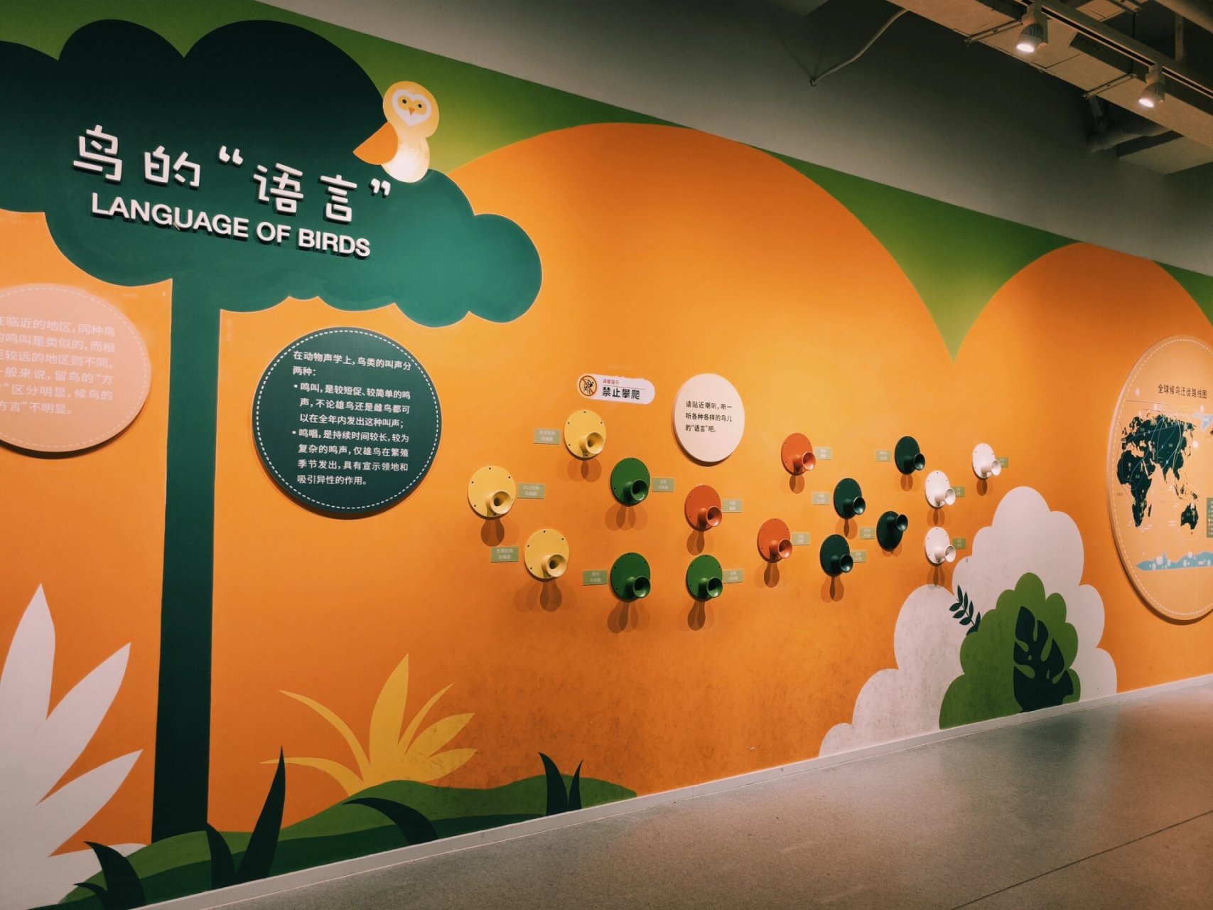 第二站,镇江科技馆 镇江科技馆是一个可爱的地方,适合一日游.