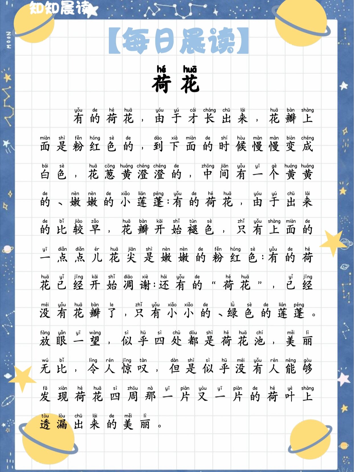晨读|描写荷花|作文素材|好词好句摘抄