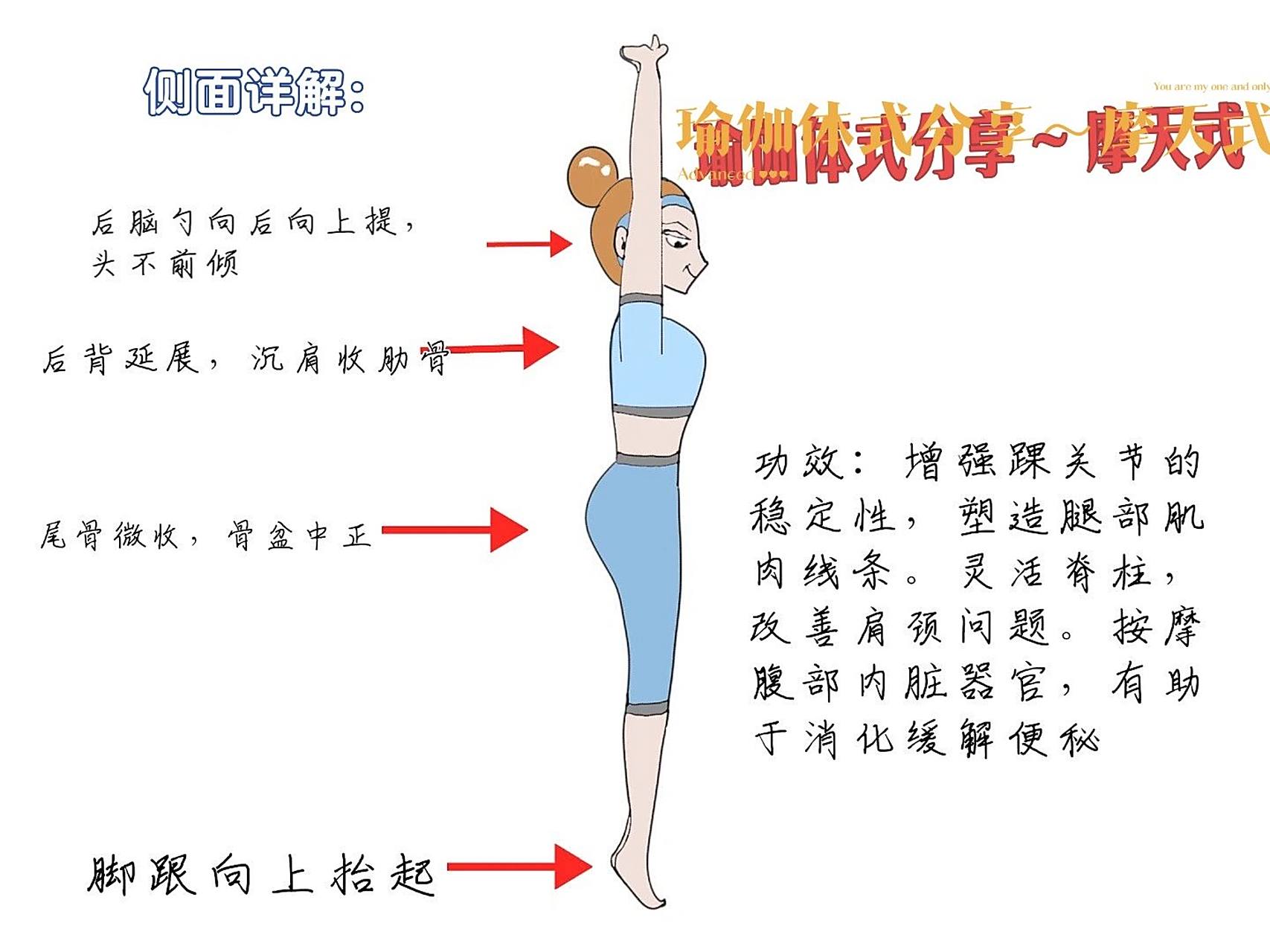 瑜伽体式详解分享～摩天式 摩天式是在山式的基础上完成的.