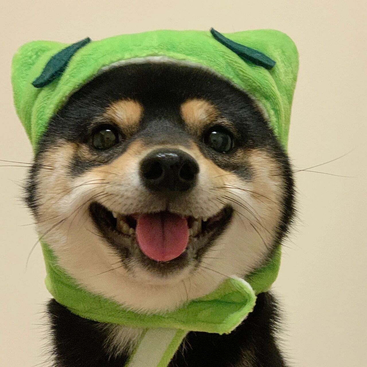 兄弟 换头像吗兄弟