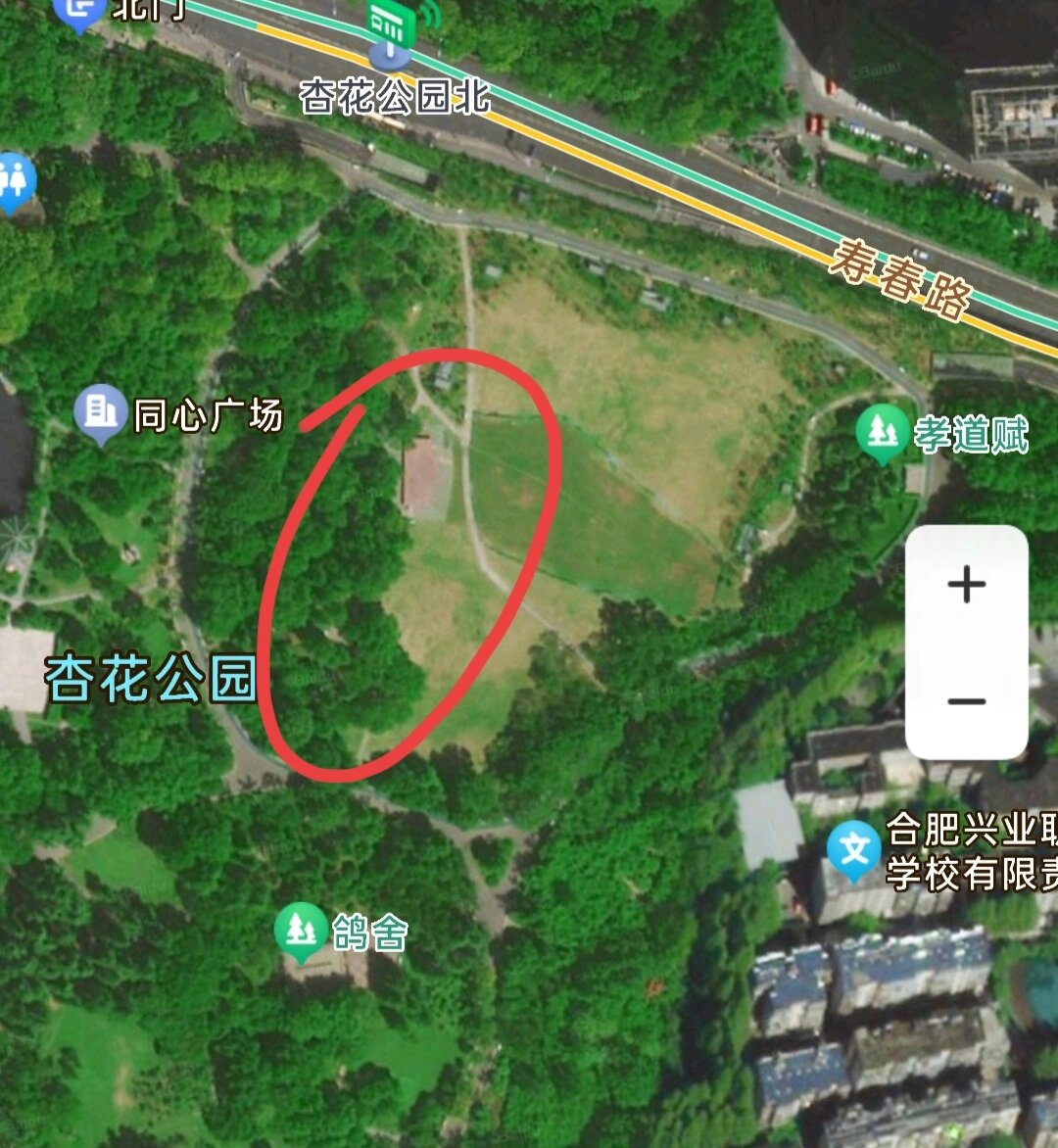 合肥杏花公园路线图图片