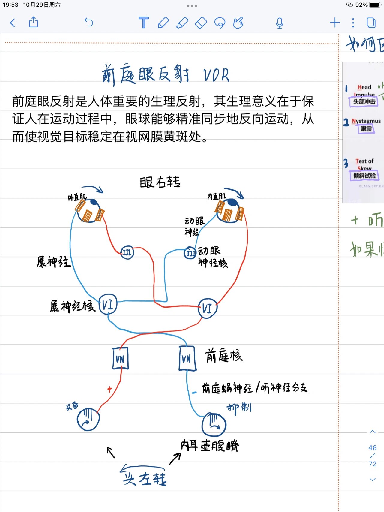 前庭眼反射(vor)