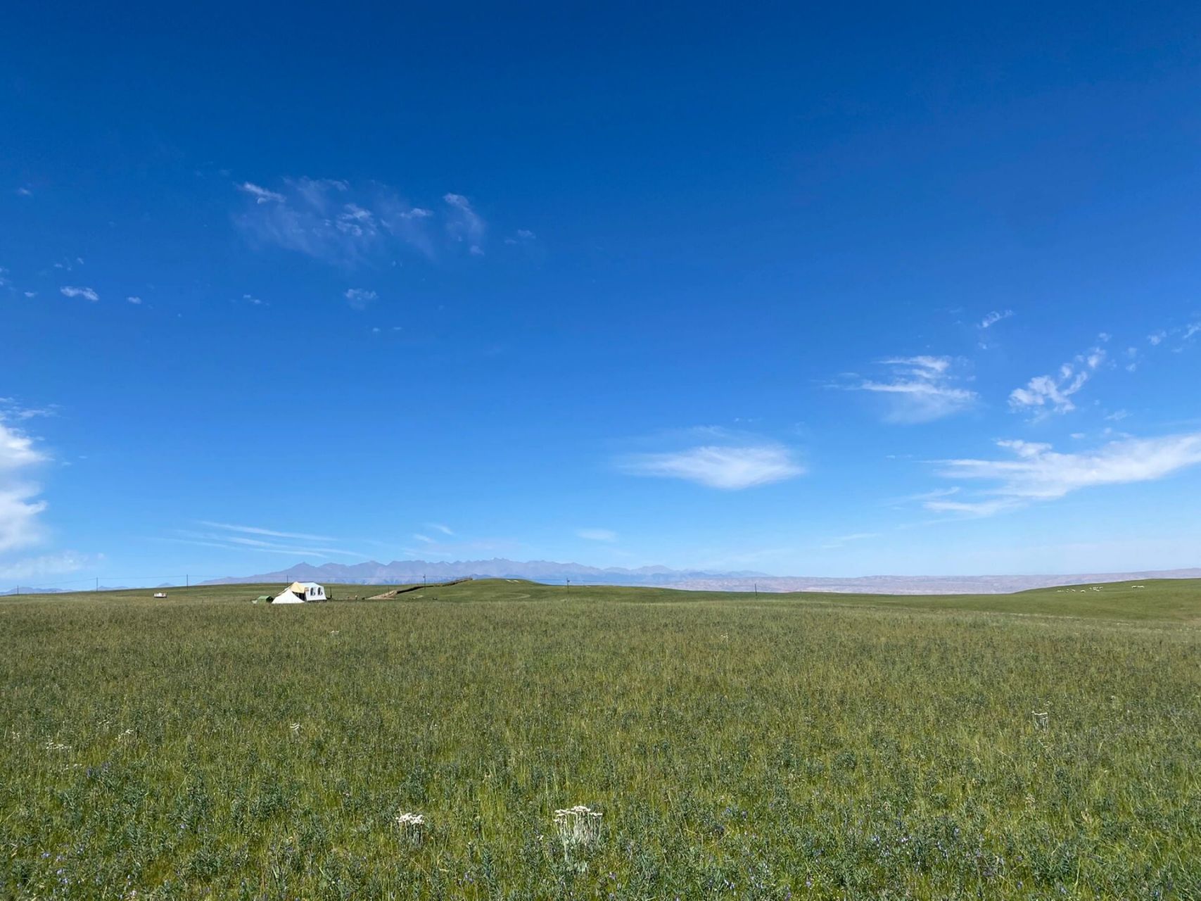 张掖康乐大草原 感受过七彩丹霞的五彩斑斓驱07十多分钟遇见壮阔