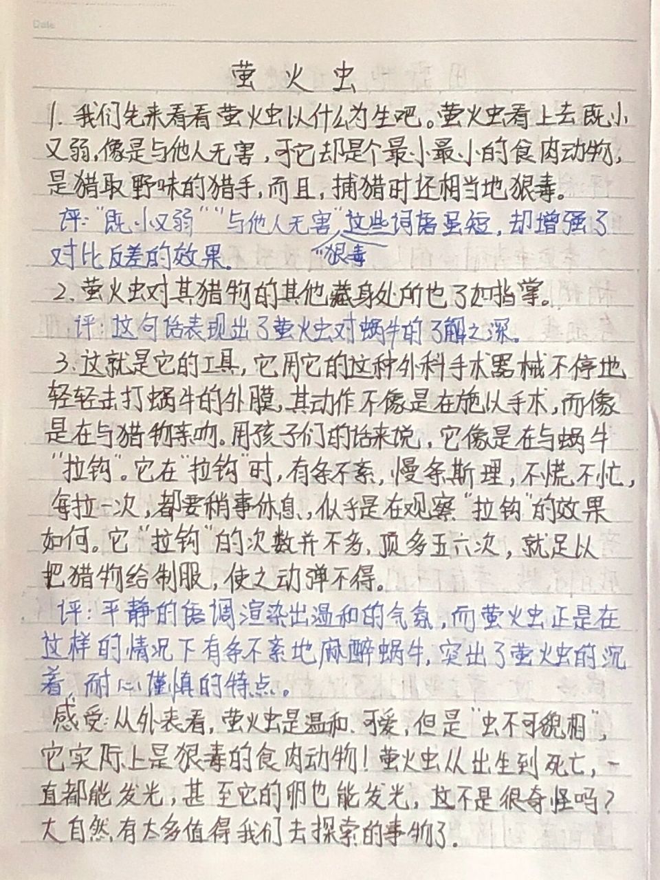 昆虫记读书笔记 第十七章 萤火虫