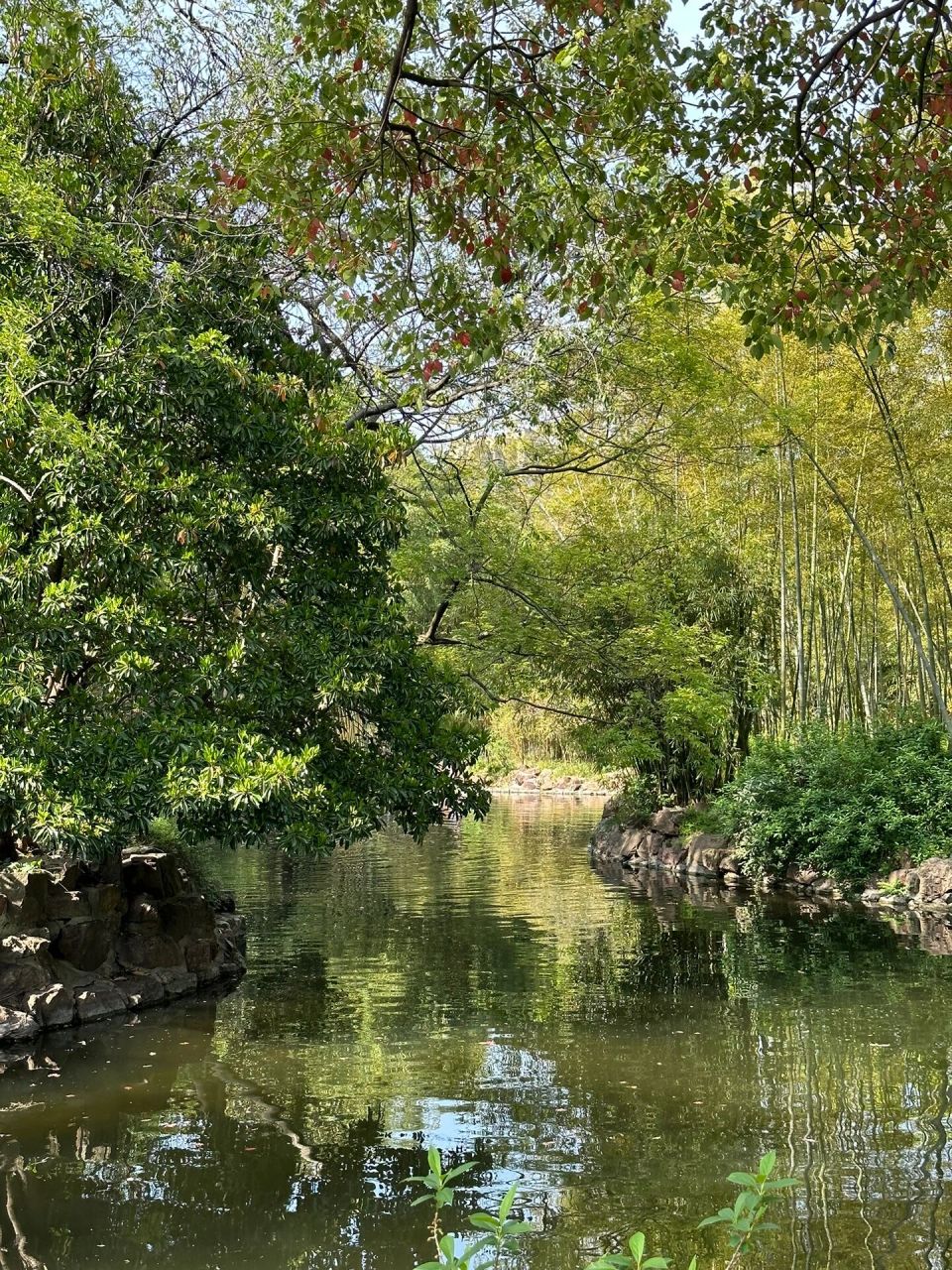 oh～年轻的味道 9595