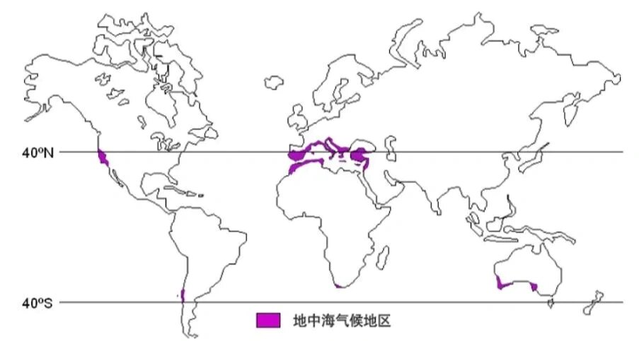 气候的判读 地中海气候