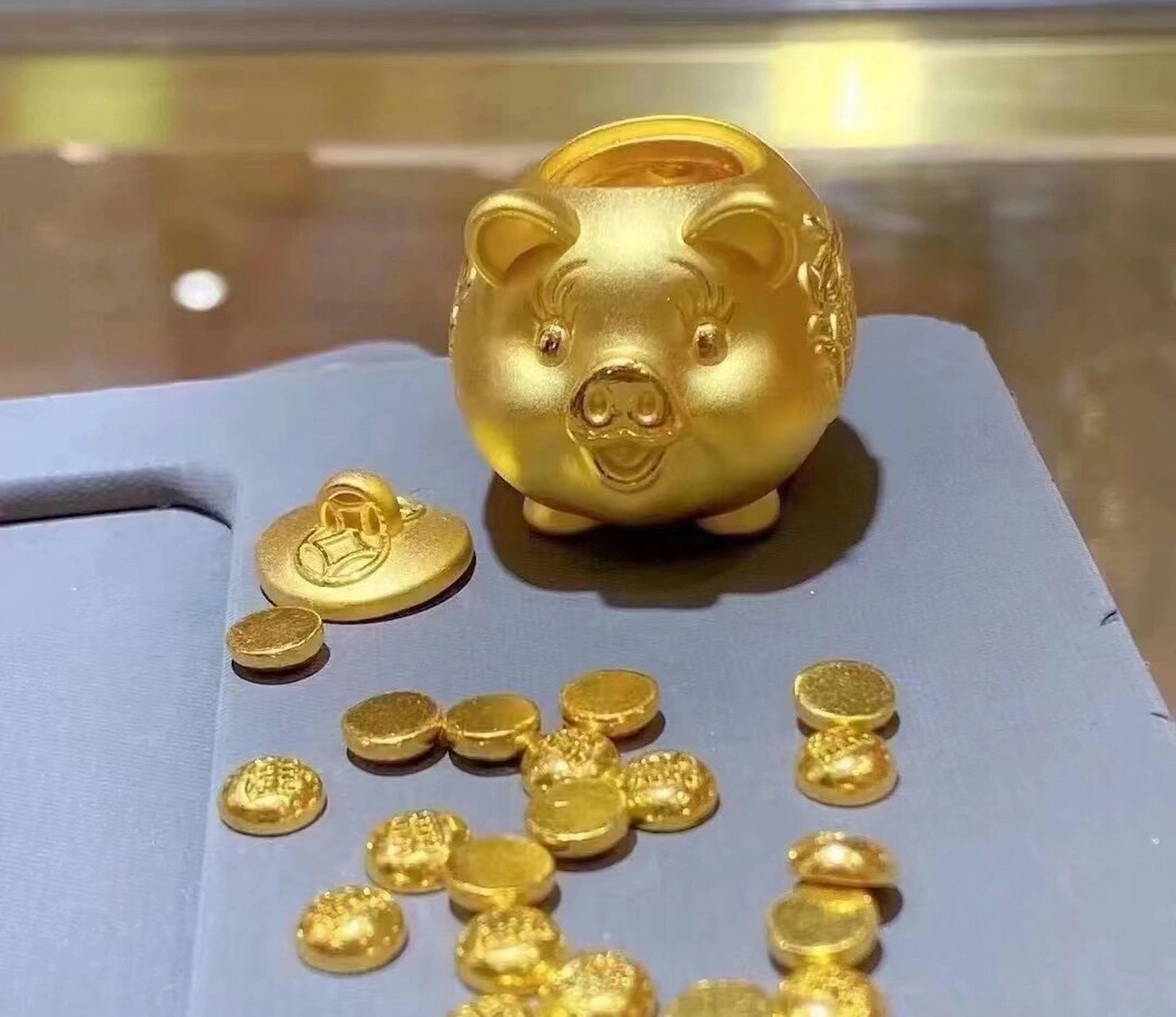 周六福金猪 小金猪图片