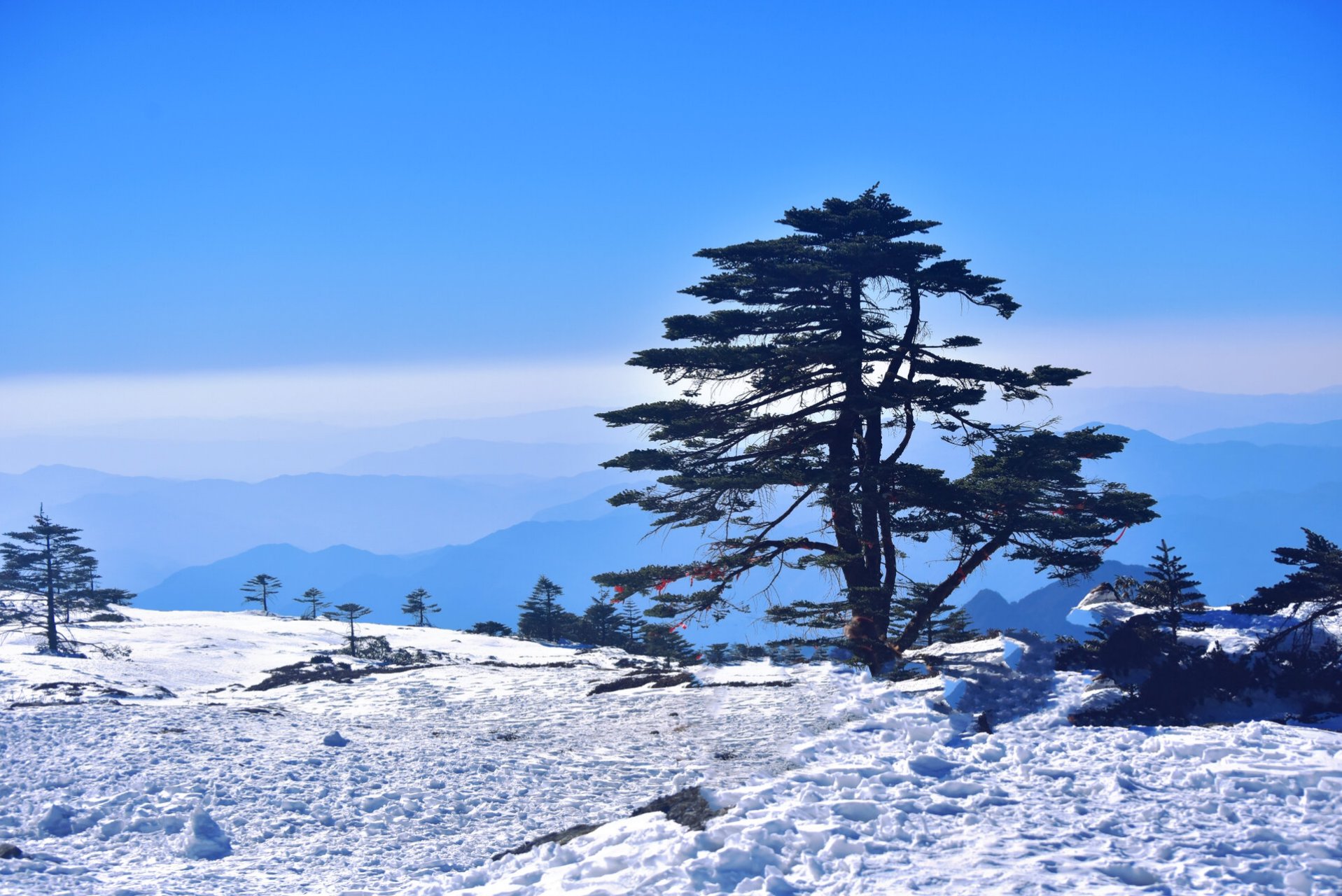 昆明徒步|轿子雪山|不可不看的冬季雪景7615 99昆明十峰之一