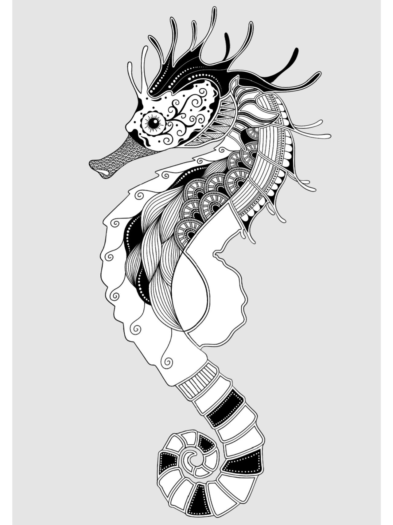 黑白装饰画--海马(内附步骤图)  在罗马和希腊,海马是海神波塞冬和