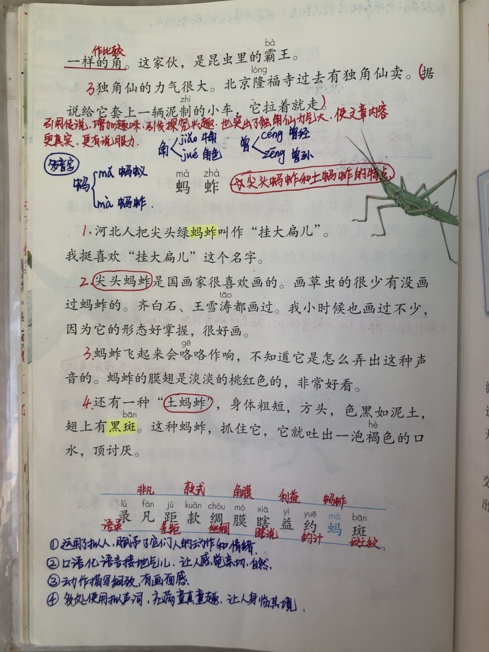 三年级下册语文 第4课《昆虫备忘录》笔记分享