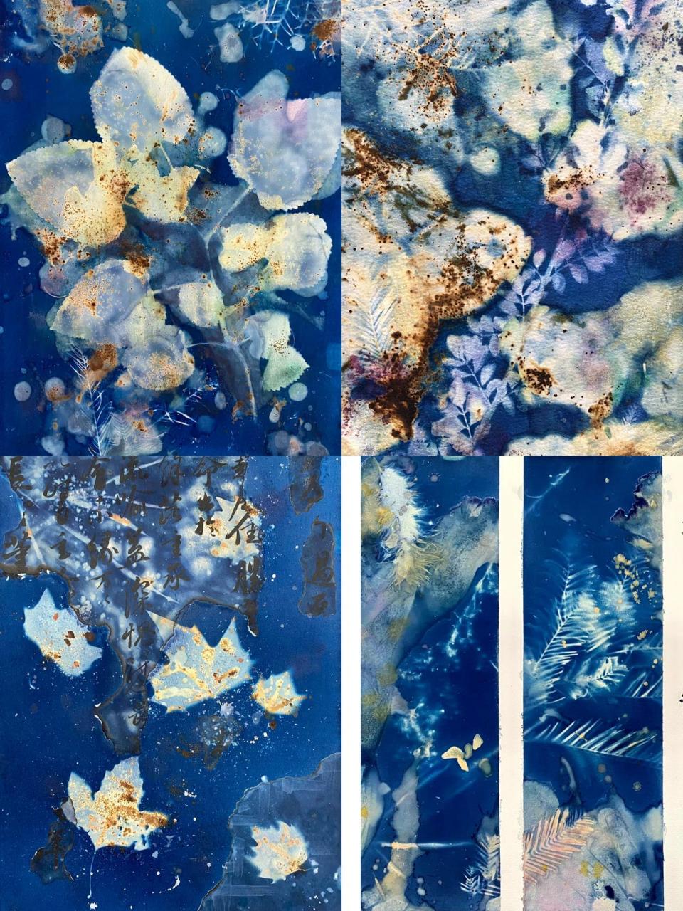 蓝晒教程来啦 准备材料:蓝晒ab液,水彩纸,保鲜膜,亚克力板,植物,太阳