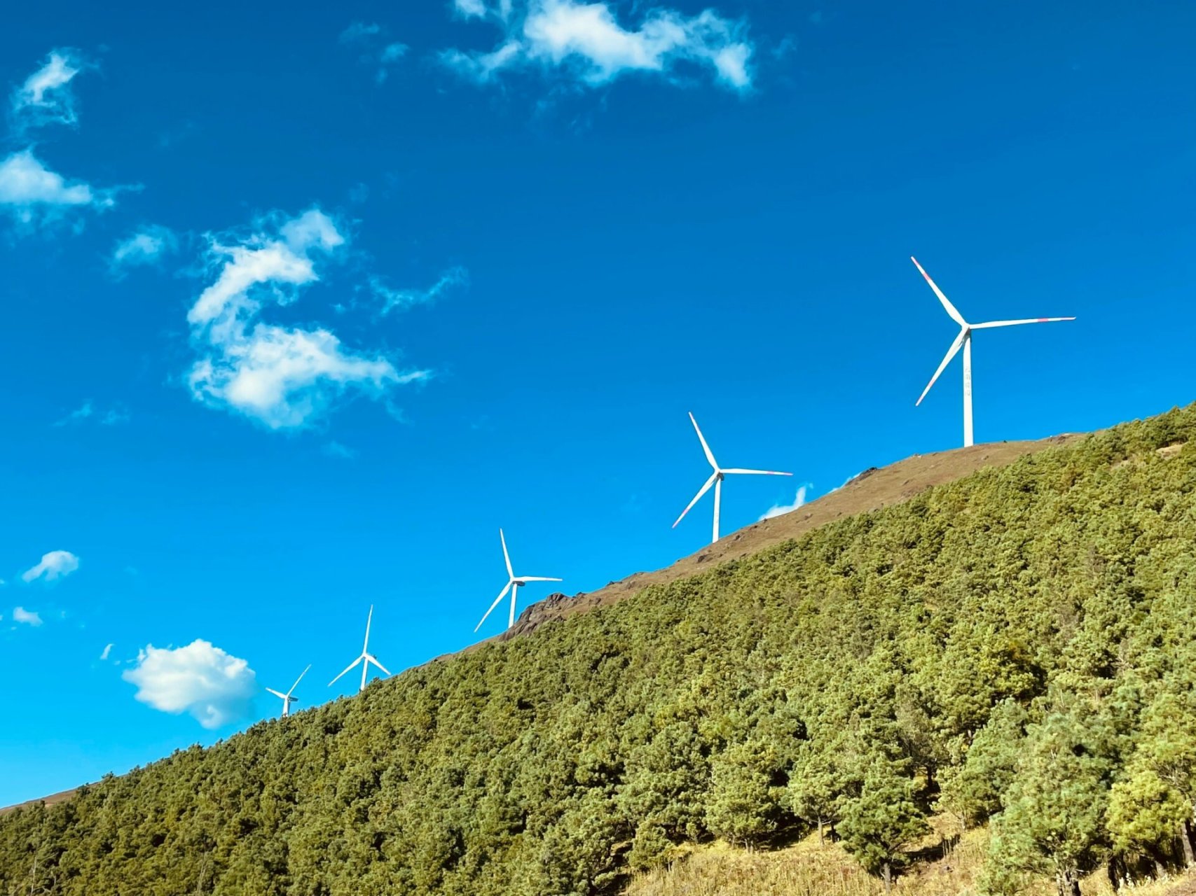 曲靖会泽-大海草山 云南周末出游好去处-曲靖会泽大海草山.
