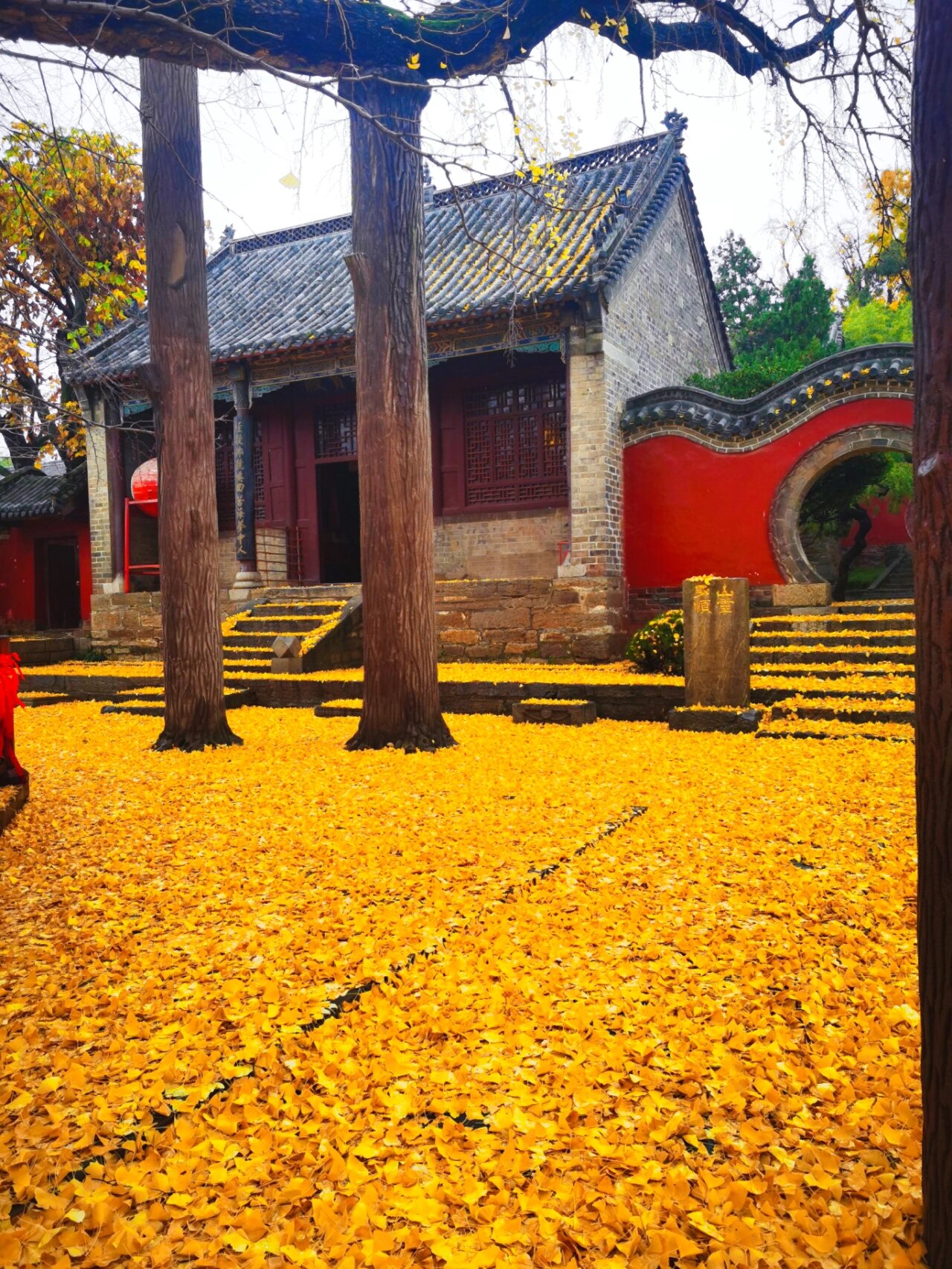 天下银杏第一树 天下银杏第一树是山东省日照市莒县浮来山定林寺内的