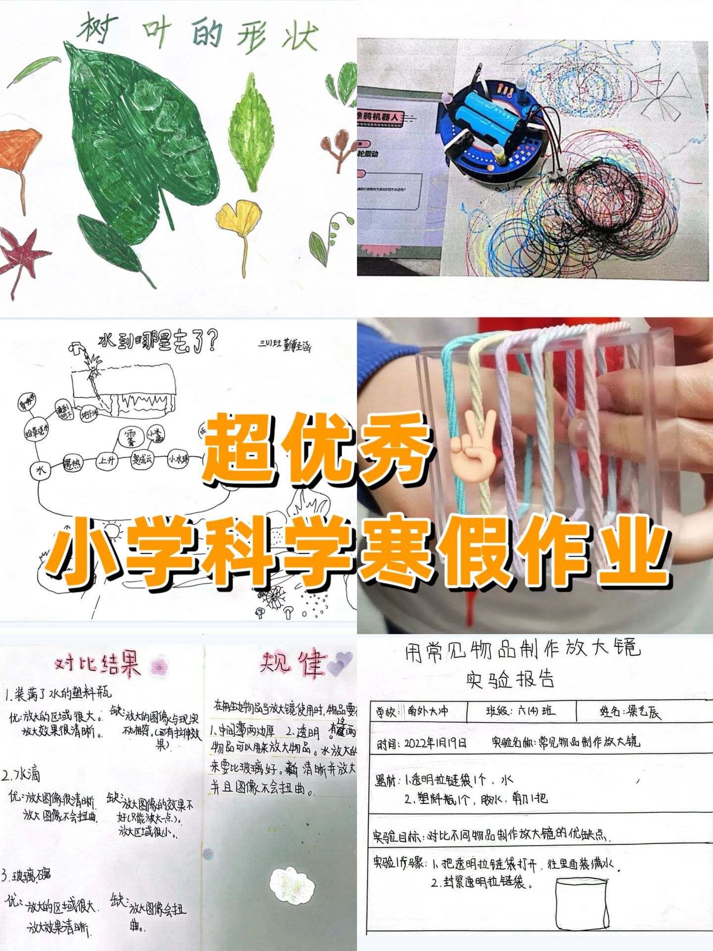 作业照片真实科学图片