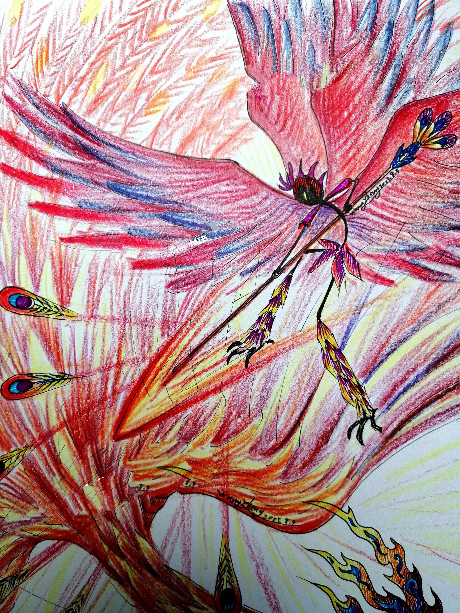 原创火柴人元素特效手绘—凤舞九天 拥有火焰般羽毛的凤凰舞动九天