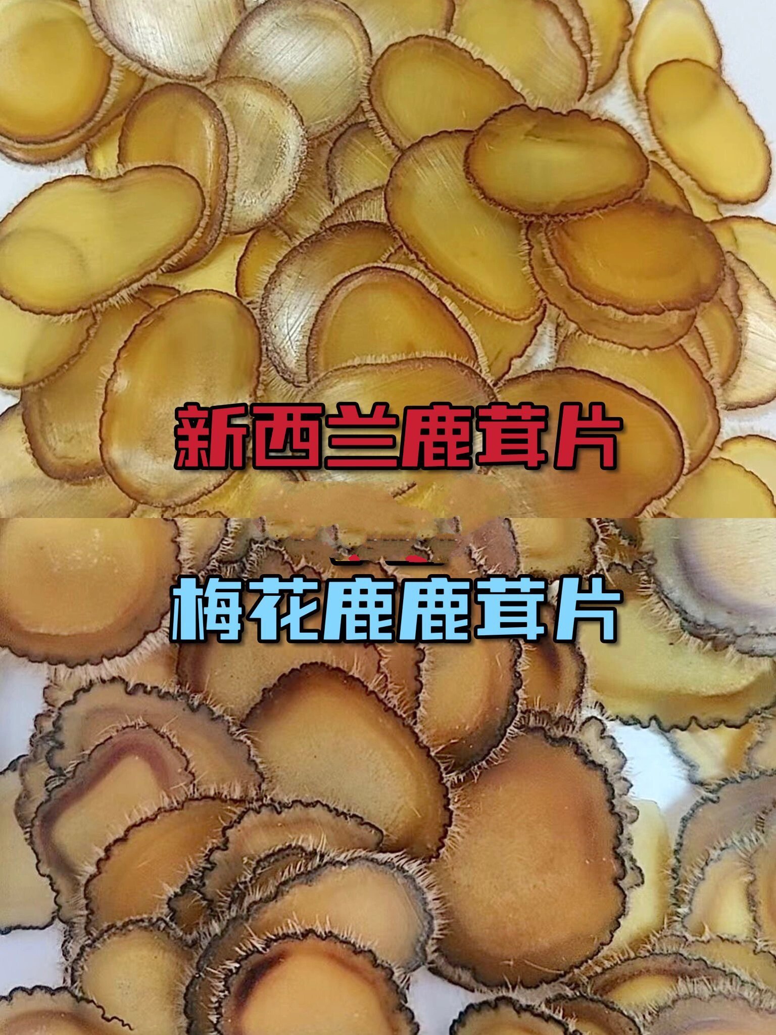 纯梅花鹿茸蜡片,学会一眼能分辨出来,很简单