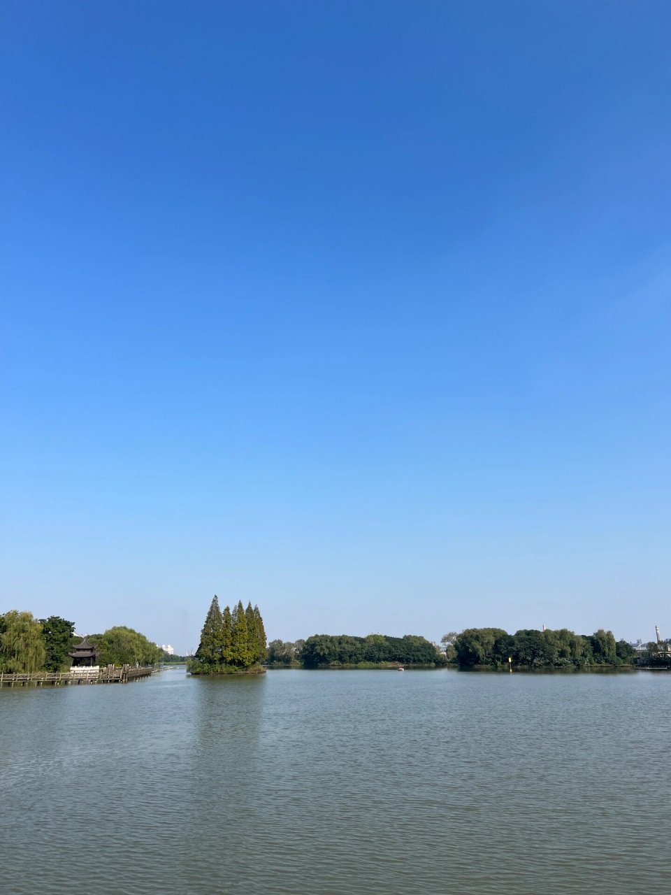 宋剑湖湿地公园 粉黛乱子草 周末溜娃 先导航定位99宋剑湖湿地公园