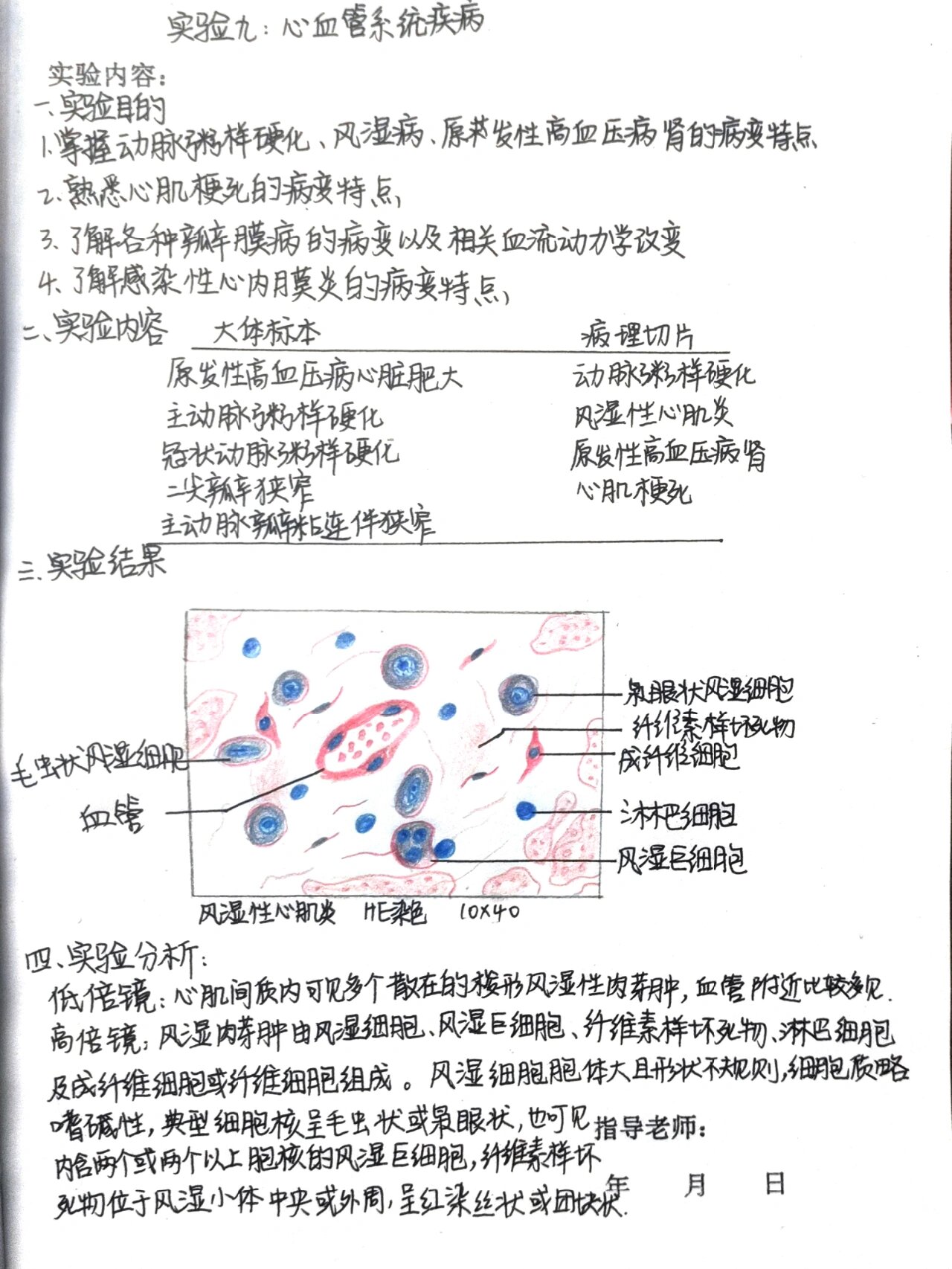 乙脑红蓝铅笔手绘图图片