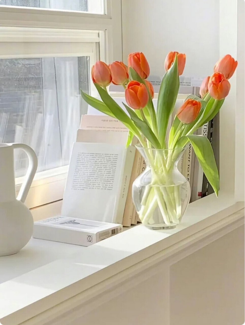 ins风壁纸郁金香93篇