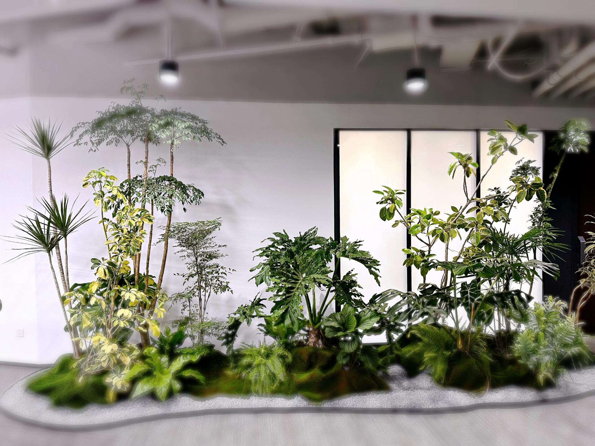 室内植物造景 绿植租摆