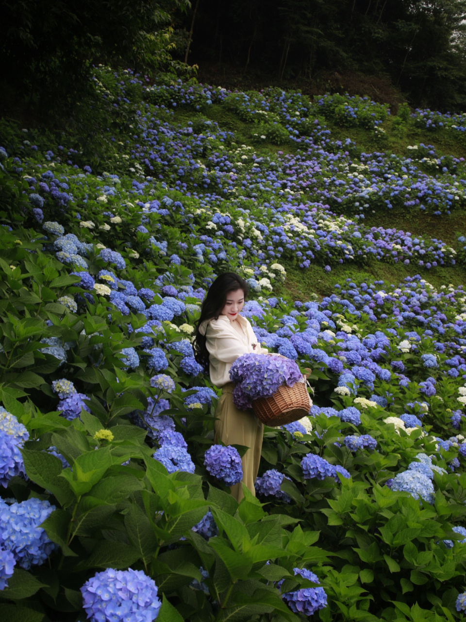 成都周边游|鹿野花塔:赴一场花涧山谷之约 城市出逃计划,一到周五,我