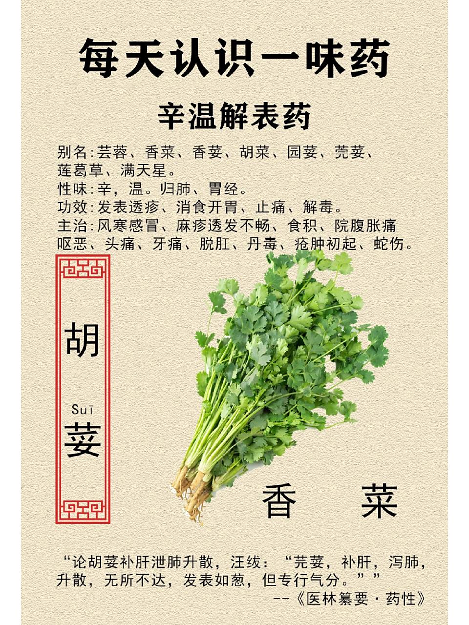 温解表药 胡荽 性味:温,辛 英文:lawn pennywort herb 别名:芸荽,香菜