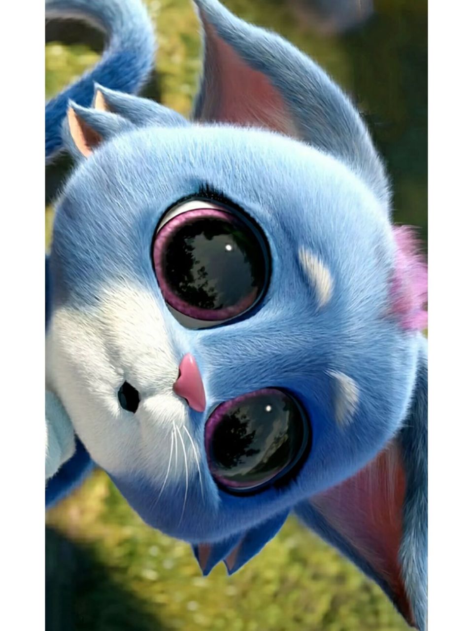 熊出没全屏壁纸