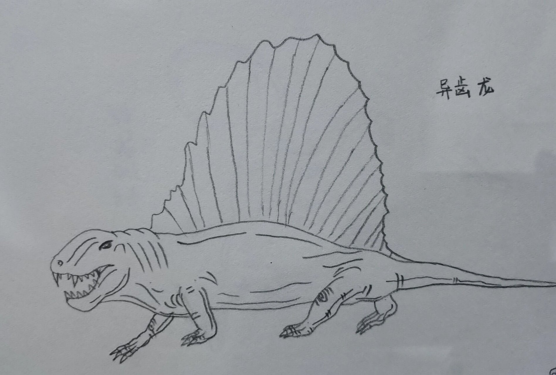 异齿龙恐龙系列简笔画