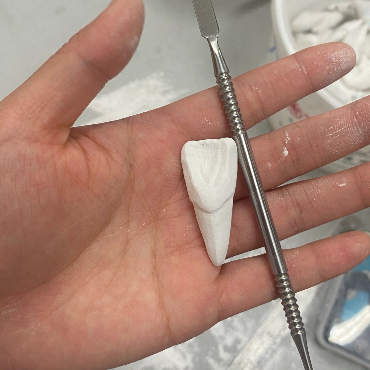 口腔医学生的雕牙日常 我想把你刻进牙体石膏里 因为我是浪漫的口腔