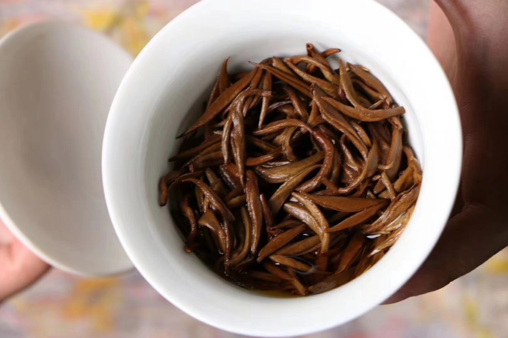 云南滇红金螺 滇红螺形,精选凤庆生态优质乔木大叶种为原料,金毫霸气